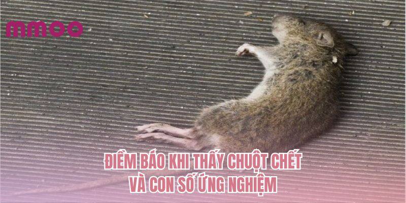 Điềm báo khi thấy chuột chết và con số ứng nghiệm
